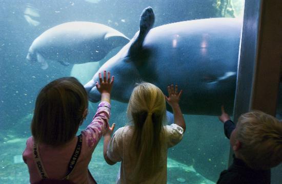 Odense Hayvanat Bahçesi