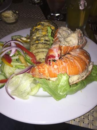 Green Parrot Beach Houses Restaurant