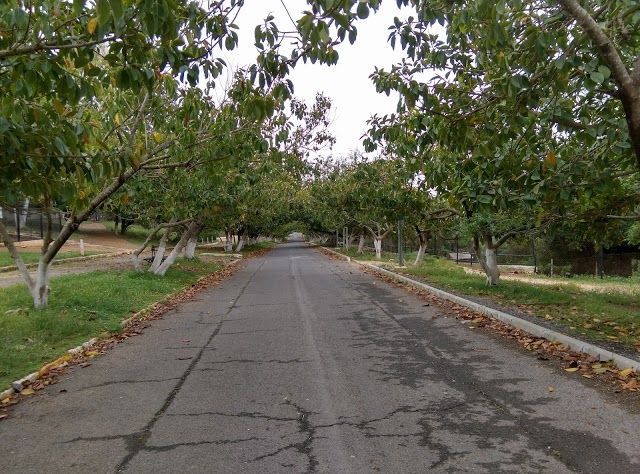 Ben Aknoun Hayvanat Bahçesi