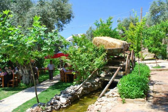 Sirince'm Sakli Vadi