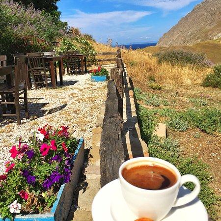 Mustafa'nın Kayfesi