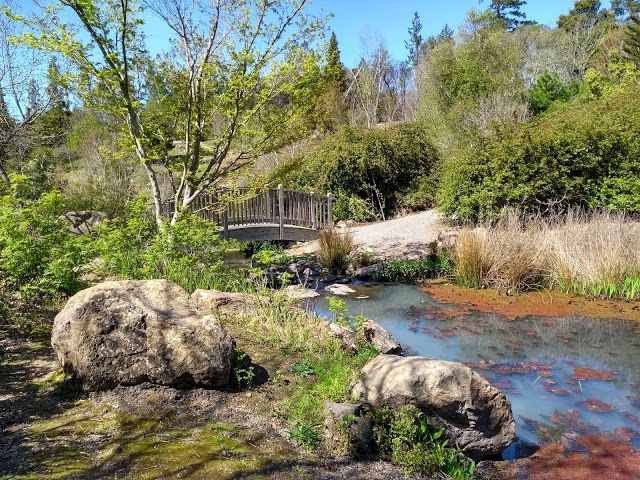 Quarryhill Botanik Bahçesi