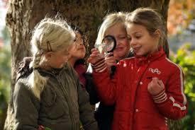 Zaans Nature and Environment Center