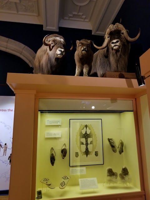 Peary-MacMillan Kuzey Kutbu Müzesi