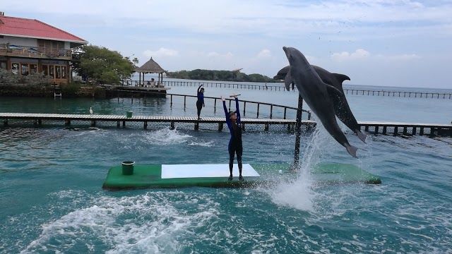 Rosario Adaları Okyanus Akvaryumu