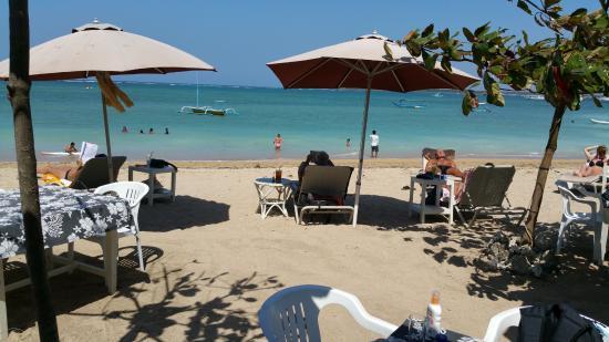 Sweet Magnolia Coffee Shop