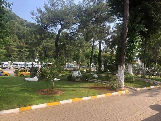 Okaliptus Cafe & Beach