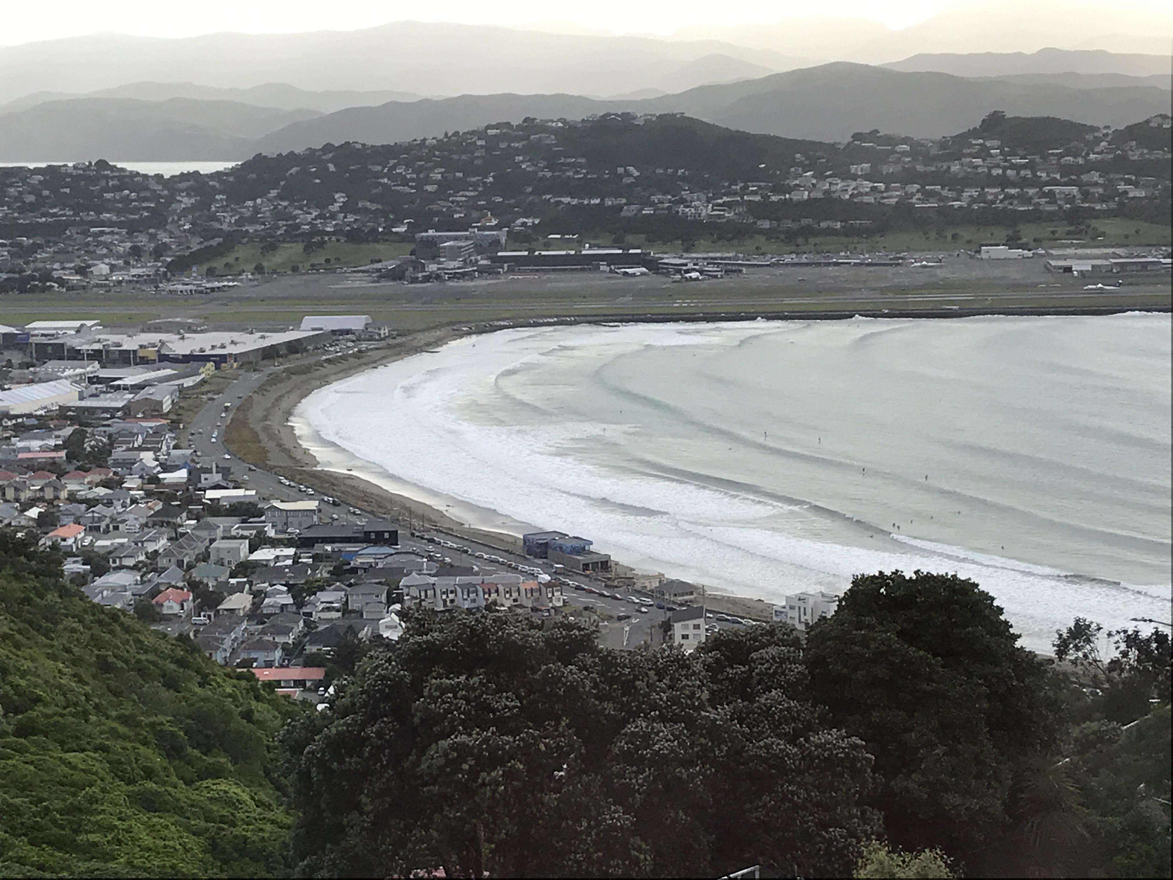 Lyall Bay