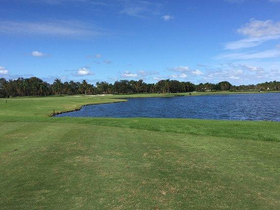 Palm Meadows Golf Sahası