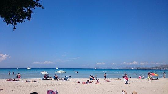 Pırlanta Kitesurf Beach