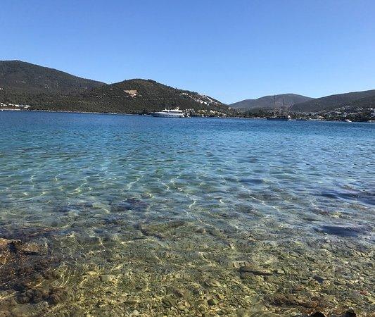 Torba Plajı