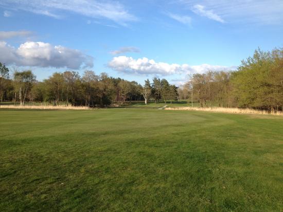 Brockenhurst Manor Golf Kulübü