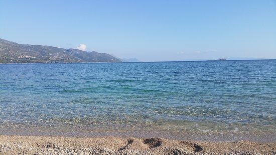 beach Trstenica