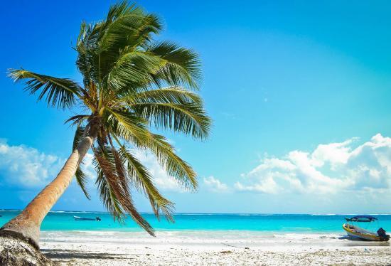 Playa Paraiso Plajı