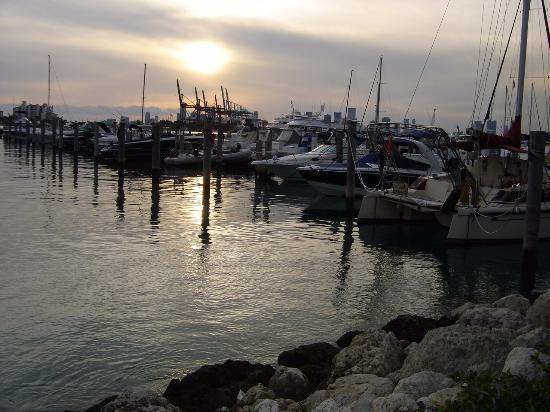 Miami Beach Marinası