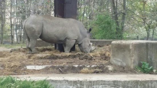 Sofya Hayvanat Bahçesi