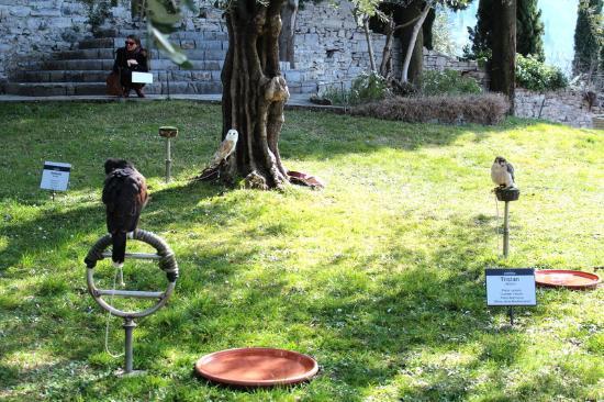 Ornitoloji ve Doğa Bilimleri Müzesi