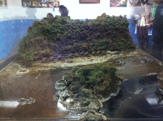 Brasil Nota 10 Mundo Das Miniaturas