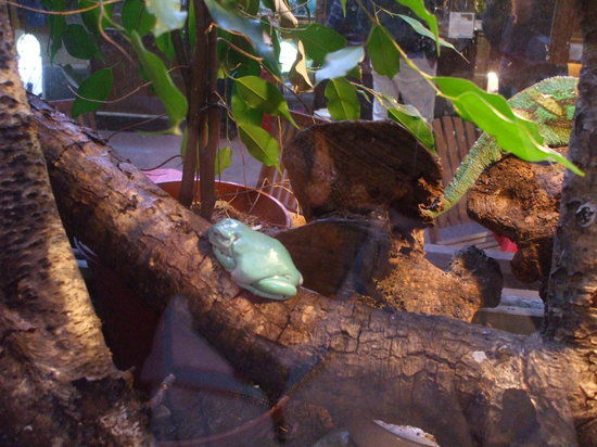 Silent World Aquarium