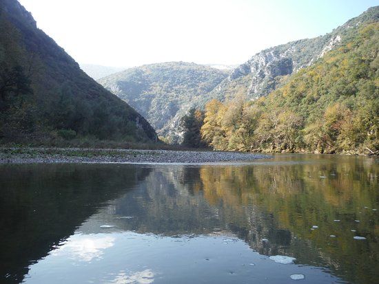 Aesthetic Forest of Strait of Nestos River
