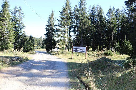 Kayabaşı Tabiat Parkı