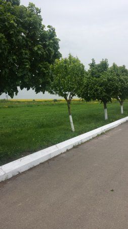 Mănăstirea SF. Elena de la Mare