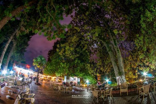 Ziraat - Botanik Çay Bahçesi