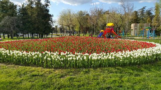 Reşat Oyal Kültür Parkı