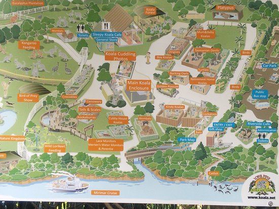 Lone Pine Koala Barınağı