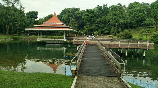 MacRitchie Rezervuarı Parkı