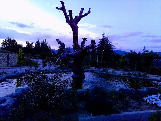 Oğuzhan Kent Ormanı