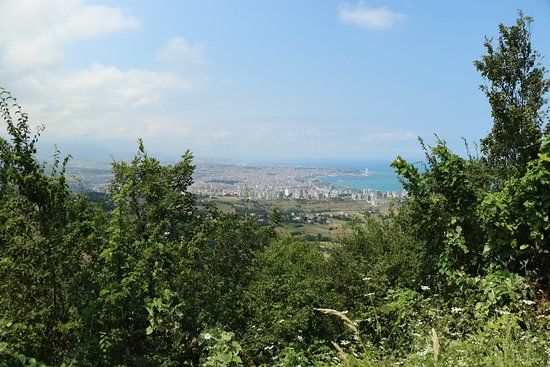 Bayrak Tepe Tabiat Parkı