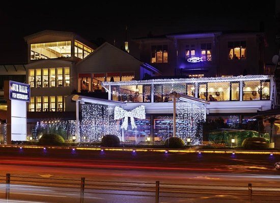 Sur Balık Sarayburnu