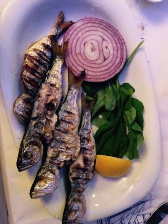 Şişli Balıkçısı