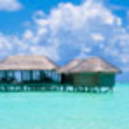 Buğday Cafe & Pastane