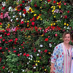 Faros Balıkçı Halil