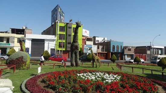 Bosque Municipal De Tacna