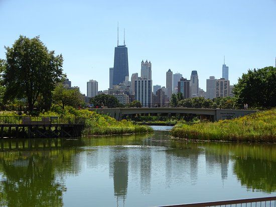 Lincoln Park Hayvanat Bahçesi