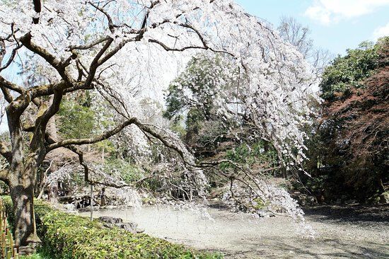 Kyoto İmparatorluk Sarayı
