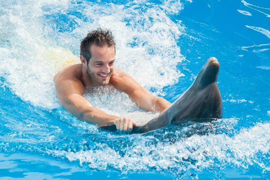 Bavaro, Manati Parkı