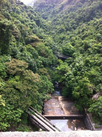 Kam Shan Doğa Parkı