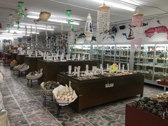 Deniz Kabuğu Kent Müzesi