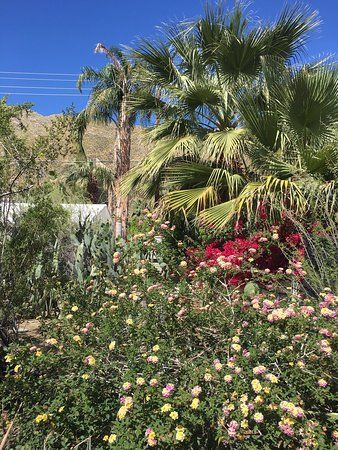 Moorten Cactarium ve Botanik Bahçesi