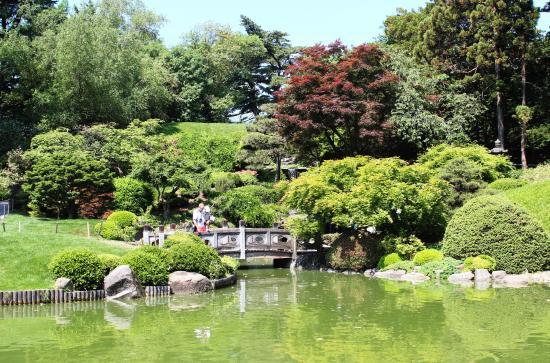 Brooklyn Botanik Bahçesi