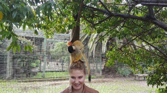 Monkey Town Primate Centre