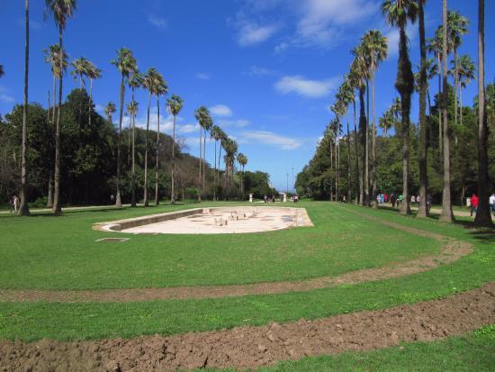 Le Jardin d'Essai du Hamma