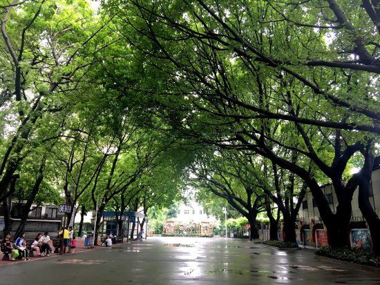 Guangzhou Kültür Parkı