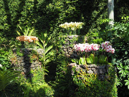 Yeomiji Botanik Bahçesi