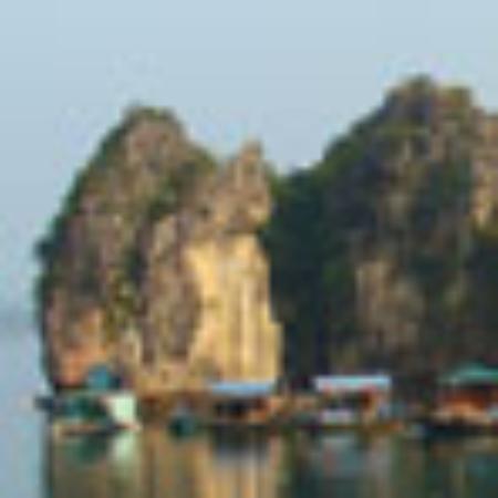 Nefis Park Pide Salonu