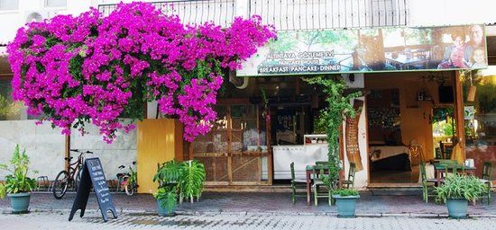 Altin Tava Gözleme Evi